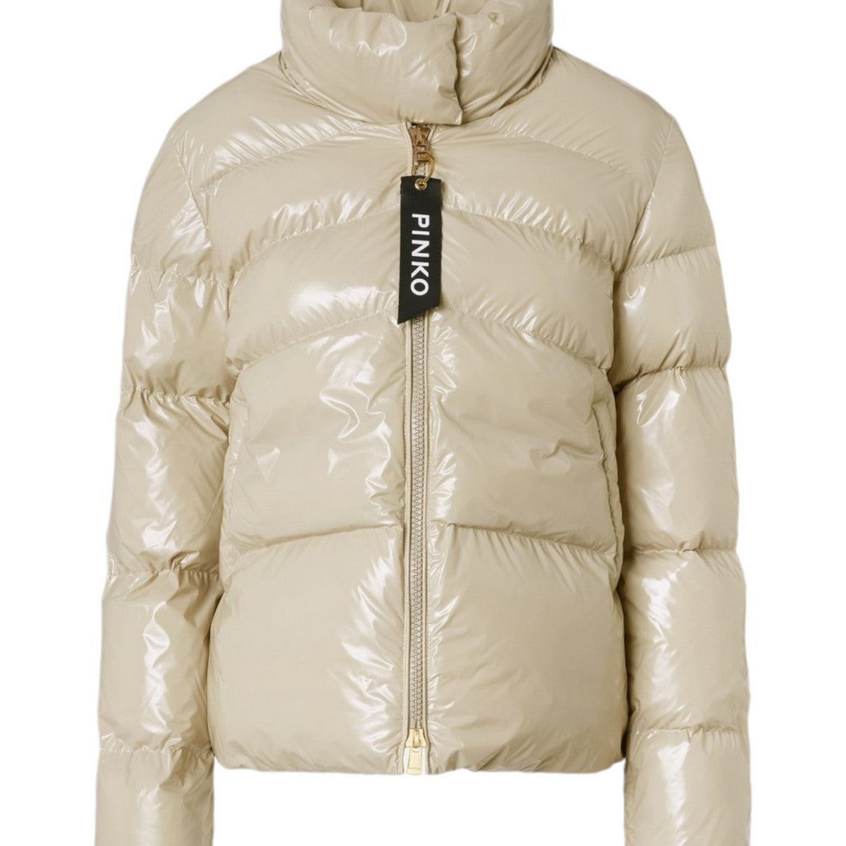 PINKO Women's Down Jacket Mirco Caban Crystal Nylon With 101598-A11K ...